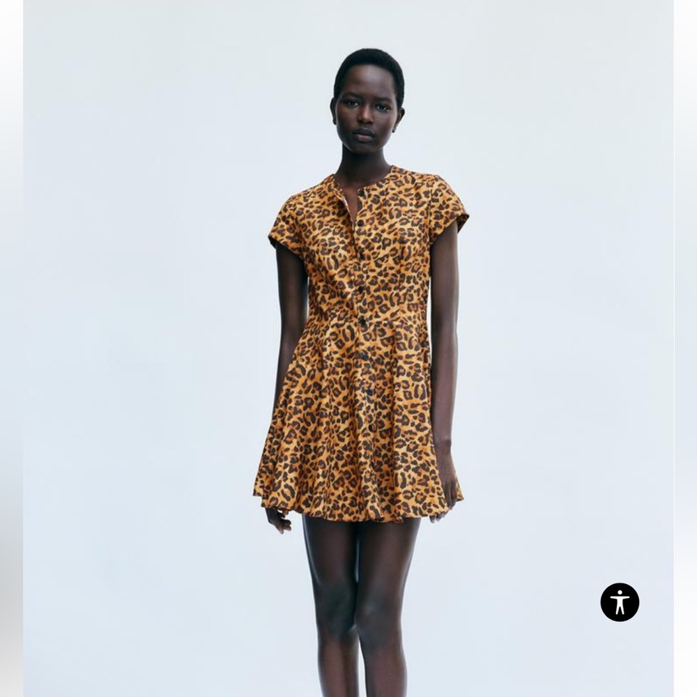 Zara ZW Collection Animal Print Dress NWT